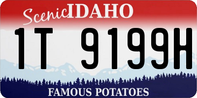 ID license plate 1T9199H