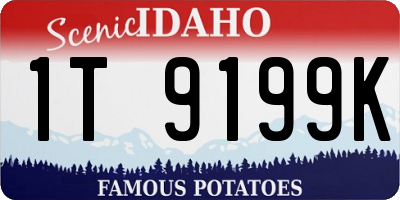 ID license plate 1T9199K