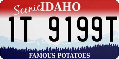 ID license plate 1T9199T