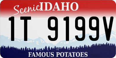ID license plate 1T9199V