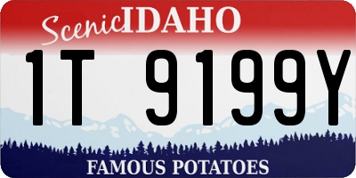ID license plate 1T9199Y