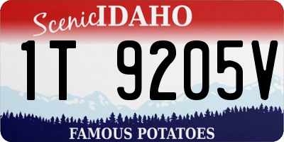 ID license plate 1T9205V