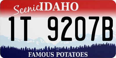 ID license plate 1T9207B