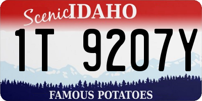 ID license plate 1T9207Y