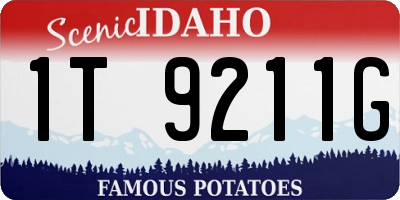 ID license plate 1T9211G