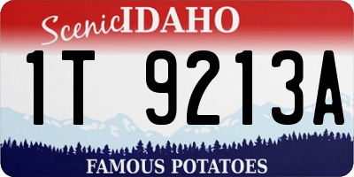 ID license plate 1T9213A