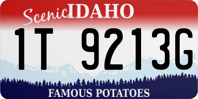 ID license plate 1T9213G