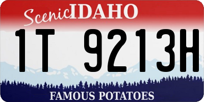 ID license plate 1T9213H