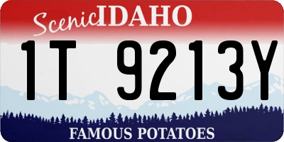 ID license plate 1T9213Y
