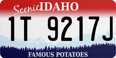 ID license plate 1T9217J
