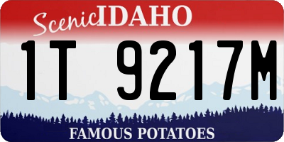 ID license plate 1T9217M