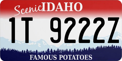 ID license plate 1T9222Z
