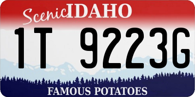 ID license plate 1T9223G