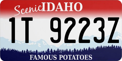 ID license plate 1T9223Z
