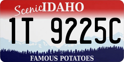 ID license plate 1T9225C