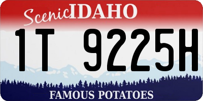 ID license plate 1T9225H