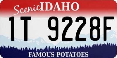ID license plate 1T9228F