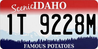 ID license plate 1T9228M