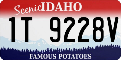 ID license plate 1T9228V
