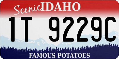 ID license plate 1T9229C