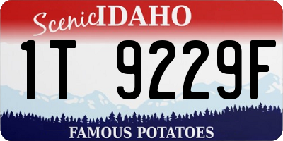 ID license plate 1T9229F