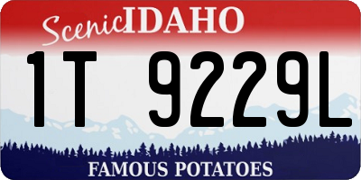 ID license plate 1T9229L