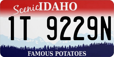 ID license plate 1T9229N