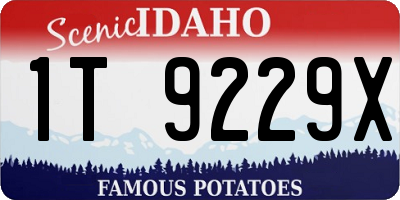 ID license plate 1T9229X