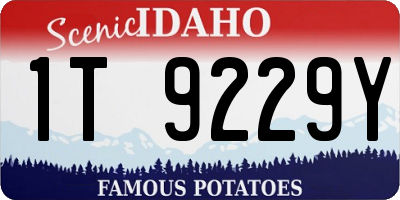 ID license plate 1T9229Y