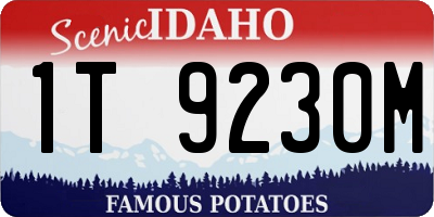 ID license plate 1T9230M