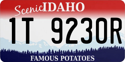 ID license plate 1T9230R