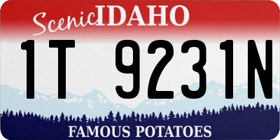 ID license plate 1T9231N