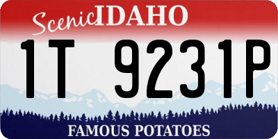 ID license plate 1T9231P