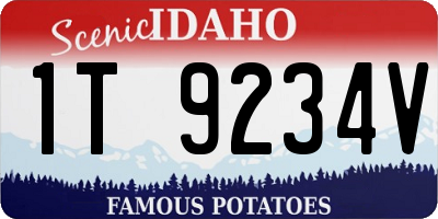 ID license plate 1T9234V