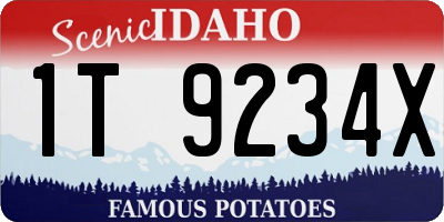 ID license plate 1T9234X