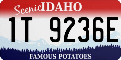 ID license plate 1T9236E