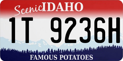 ID license plate 1T9236H