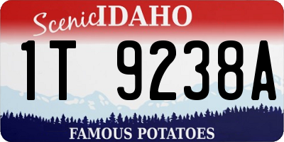 ID license plate 1T9238A