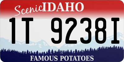 ID license plate 1T9238I