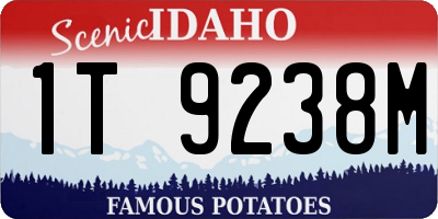 ID license plate 1T9238M