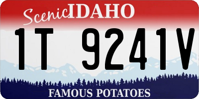 ID license plate 1T9241V