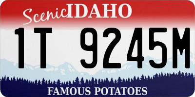 ID license plate 1T9245M