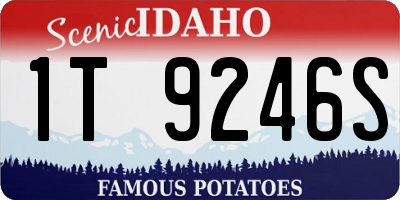 ID license plate 1T9246S