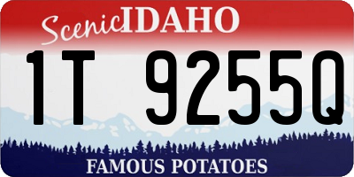 ID license plate 1T9255Q