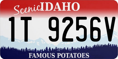 ID license plate 1T9256V