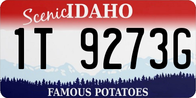 ID license plate 1T9273G