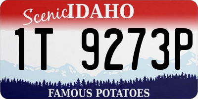 ID license plate 1T9273P
