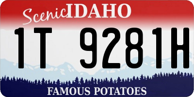 ID license plate 1T9281H