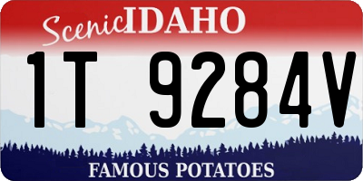 ID license plate 1T9284V