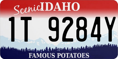 ID license plate 1T9284Y